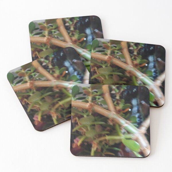 Item preview, Money tree designed and sold by DjeriK.