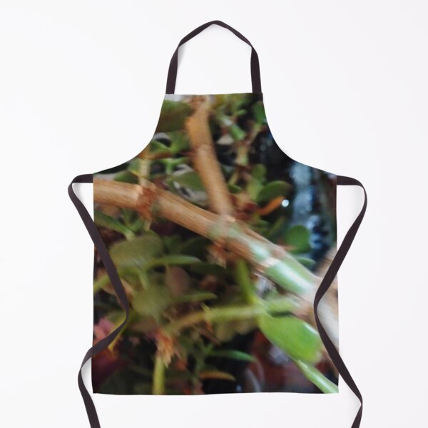 Item preview, Money tree designed and sold by DjeriK.