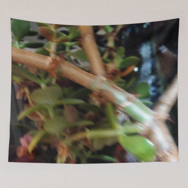 Item preview, Money tree designed and sold by DjeriK.