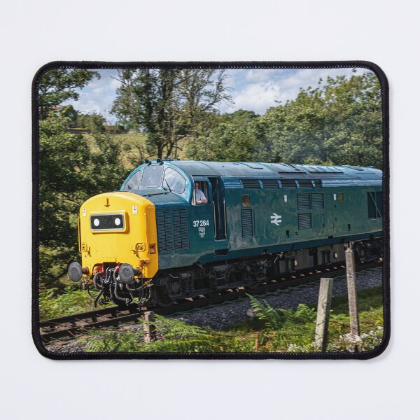 Item preview, Type 55 Deltic Locomotive 37264 on NYMR designed and sold by CEastwoodPhotos.