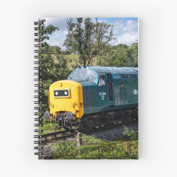 Item preview, Type 55 Deltic Locomotive 37264 on NYMR designed and sold by CEastwoodPhotos.