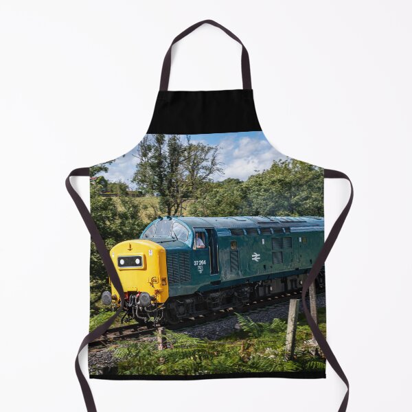 Item preview, Type 55 Deltic Locomotive 37264 on NYMR designed and sold by CEastwoodPhotos.