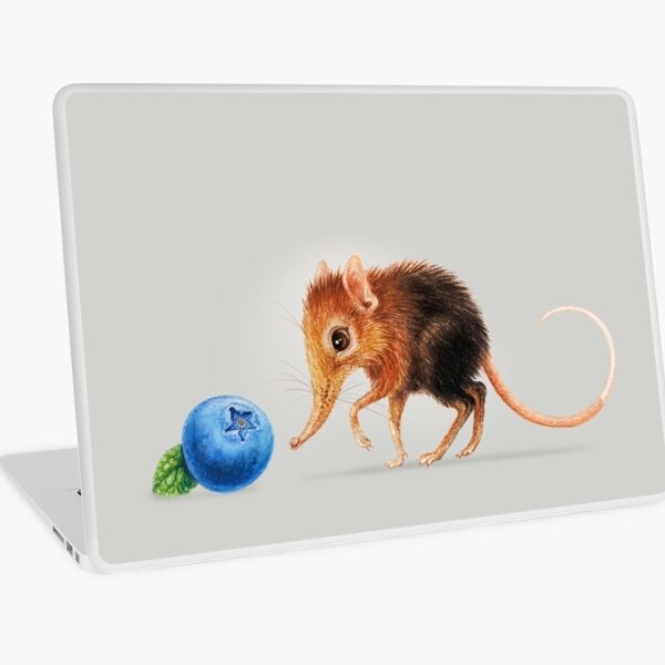 Elephant shrew by Maria Tiqwah Laptop Skin