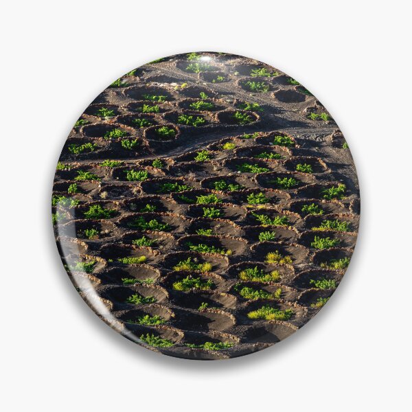 Item preview, La Geria Wine Crops in Lanzarote designed and sold by iCimages.net.