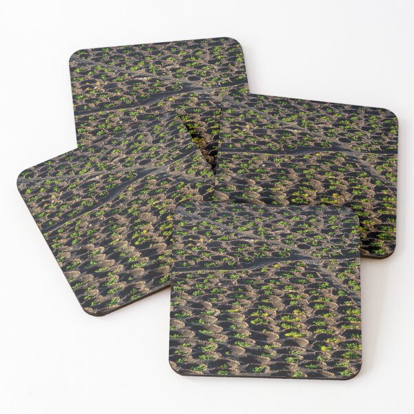 Item preview, La Geria Wine Crops in Lanzarote designed and sold by iCimages.net.