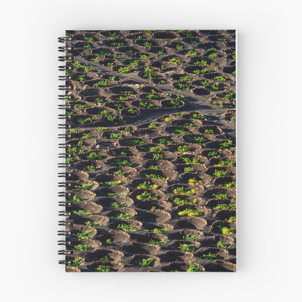 Item preview, La Geria Wine Crops in Lanzarote designed and sold by iCimages.net.