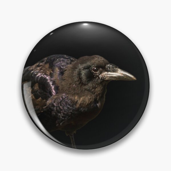 Item preview, Raven Placement Print designed and sold by Jane Stanley Photography.