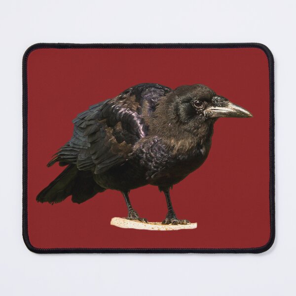 Item preview, Raven Placement Print designed and sold by Jane Stanley Photography.