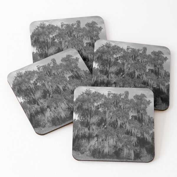 Item preview, Majestic Oak with Spanish Moss designed and sold by MercerImages.