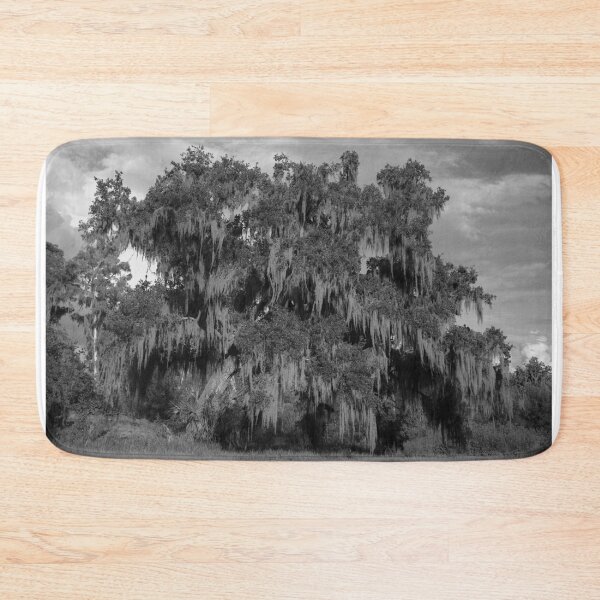 Item preview, Majestic Oak with Spanish Moss designed and sold by MercerImages.