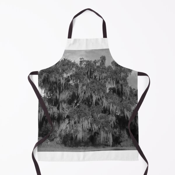 Item preview, Majestic Oak with Spanish Moss designed and sold by MercerImages.