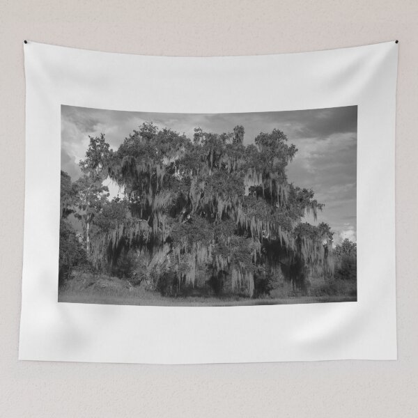 Item preview, Majestic Oak with Spanish Moss designed and sold by MercerImages.