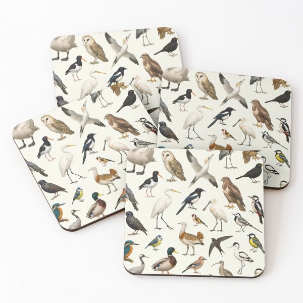 Item preview, Birds of British Isles Retro Illustration Chart Scientific Art designed and sold by kakarikihill.
