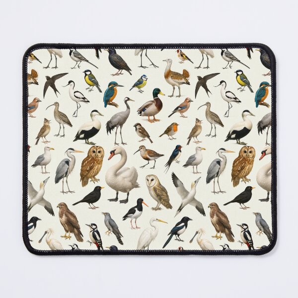 Item preview, Birds of British Isles Retro Illustration Chart Scientific Art designed and sold by kakarikihill.