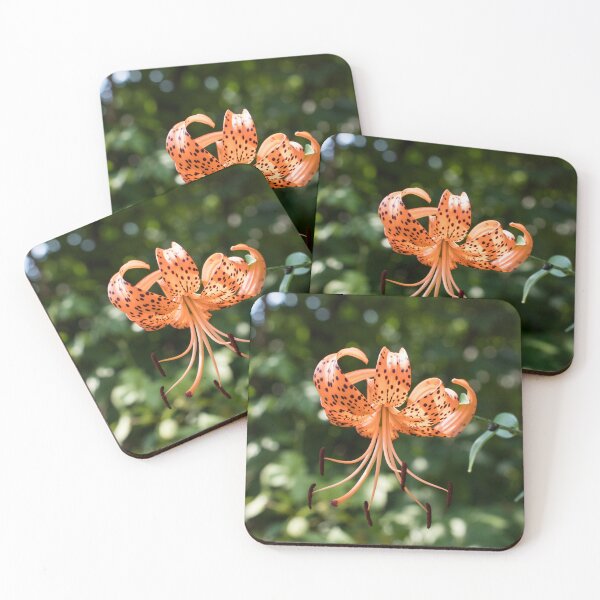 Item preview, Vibrant Orange Tiger Lily in Summer Light designed and sold by Georgia Mizuleva.