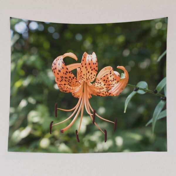 Item preview, Vibrant Orange Tiger Lily in Summer Light designed and sold by Georgia Mizuleva.