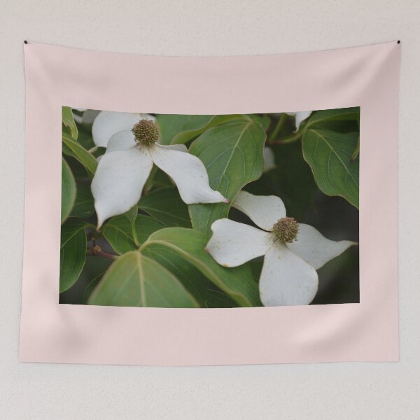 Item preview, Flora designed and sold by pbnkelly.