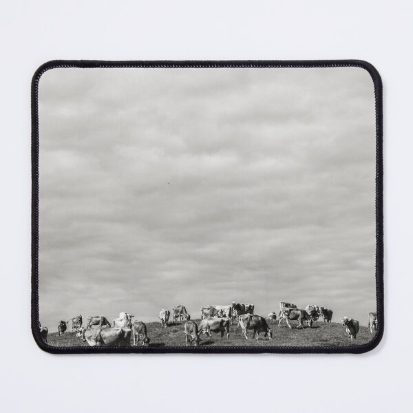 Item preview, Black and White Swiss Cows on Alpine Pasture designed and sold by alicjamiekina.