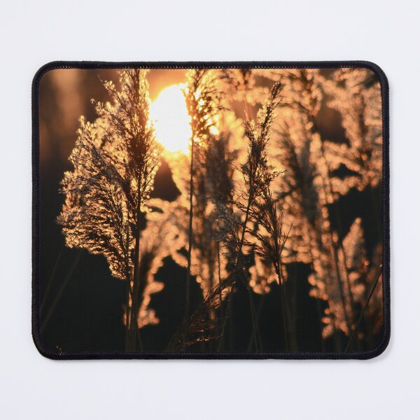 Item preview, Sun through pampa grass. designed and sold by ANAEZ.