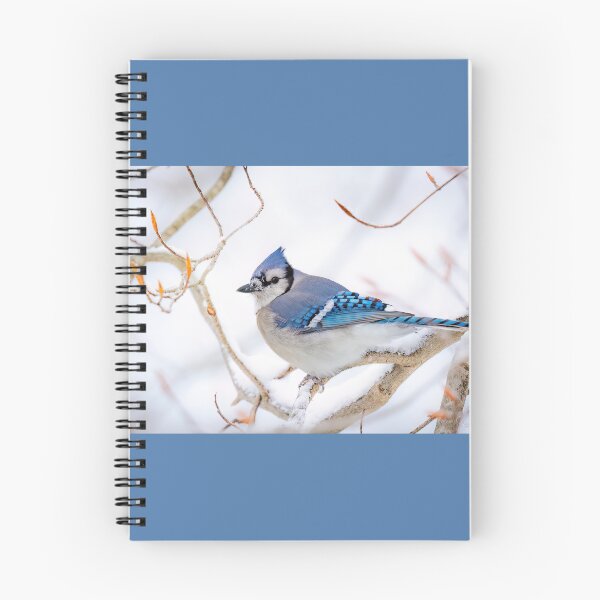 Item preview, Blue Jay in the Snow  designed and sold by Shannon Emmel .