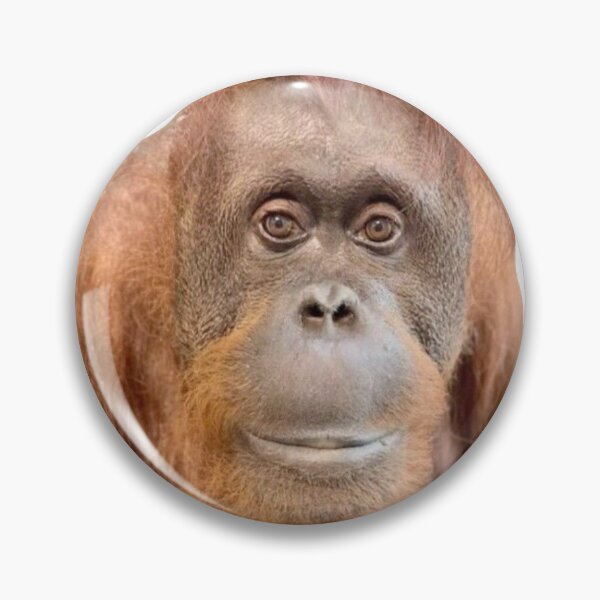 Item preview, awkward orangutan monkey  designed and sold by awstensglitter.