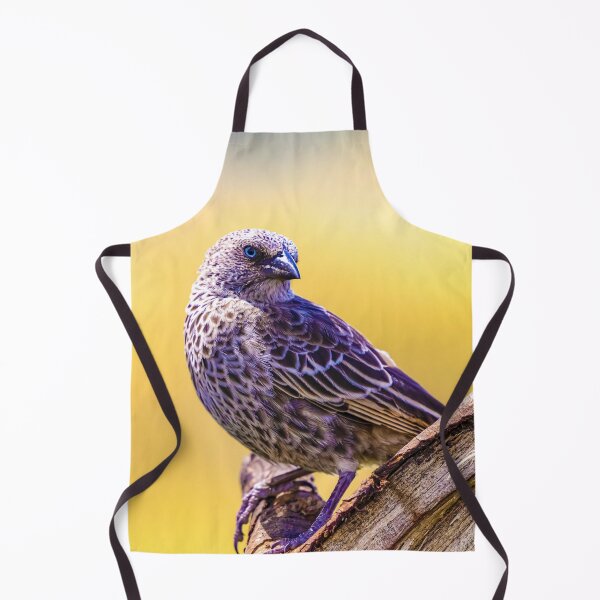 Item preview, Wild starling close up bird photo Tanzania designed and sold by Amanda's Factory.