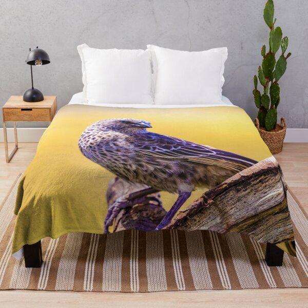 Item preview, Wild starling close up bird photo Tanzania designed and sold by Amanda's Factory.