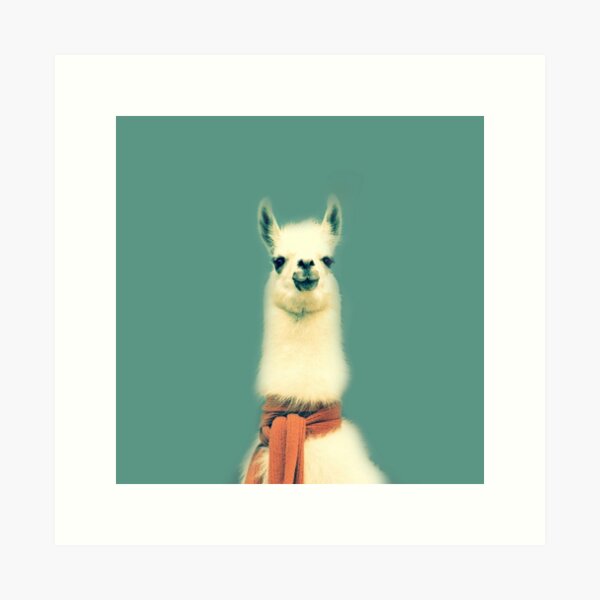 Item preview, Llama designed and sold by ernieandbert.