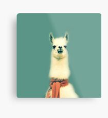 Llama Metal Print