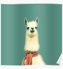 Llama Poster
