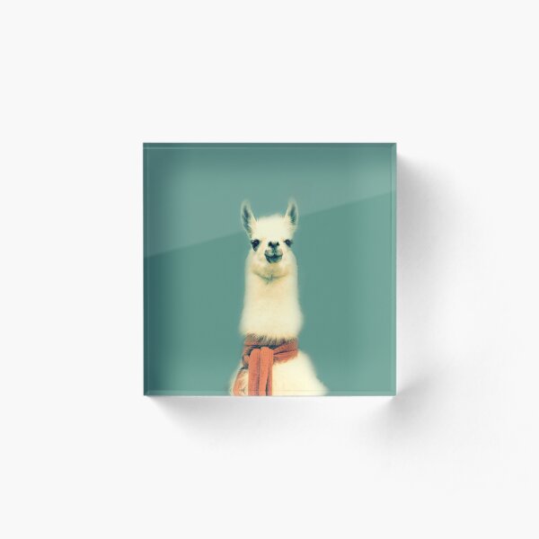 Llama Acrylic Block