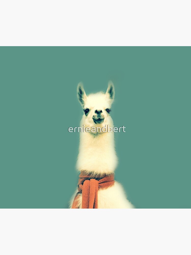 « Lama » par ernieandbert