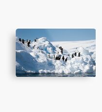Line Up Metal Print