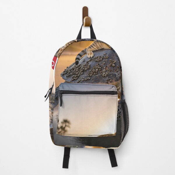 Item preview, The Surfing Cat's Epic Journey designed and sold by 0penvimark.