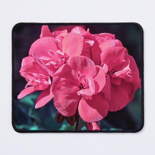 Item preview, Horsehoe Geranium Macro designed and sold by Tom McPherson Photography.