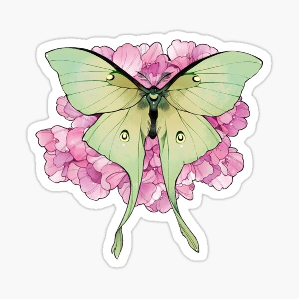Beautiful Dying is Her Living Sticker