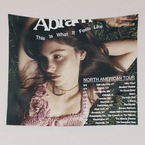 Item preview, Gracie Abrams American Tour Poster designed and sold by kkmhu.