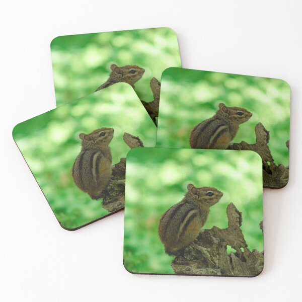 Item preview, Lil chipmunk  designed and sold by KreativeKas.