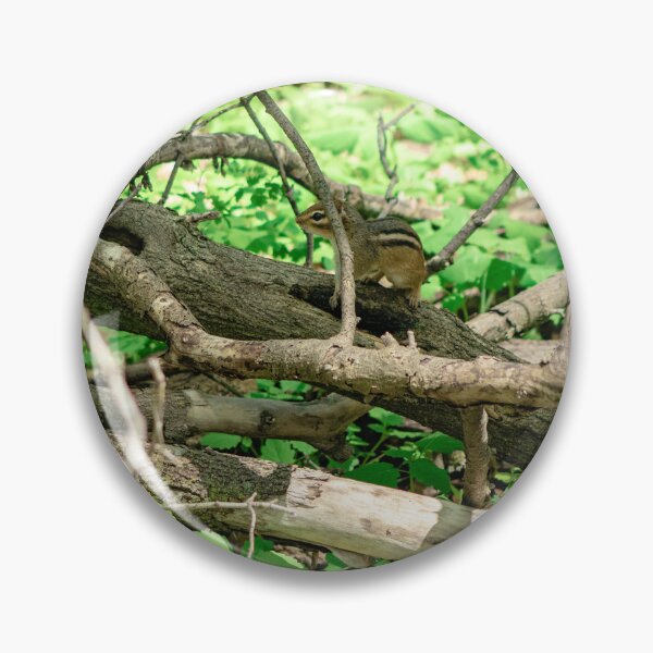 Item preview, Forest chipmunk  designed and sold by KreativeKas.
