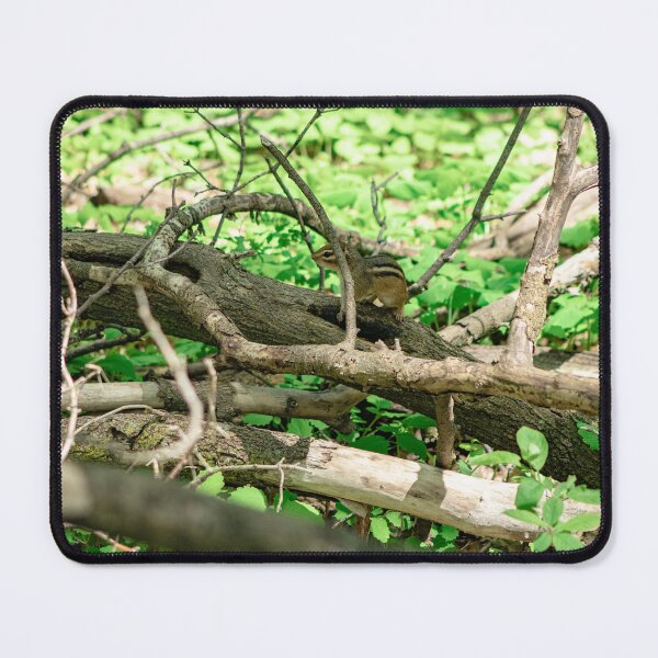 Item preview, Forest chipmunk designed and sold by KreativeKas.