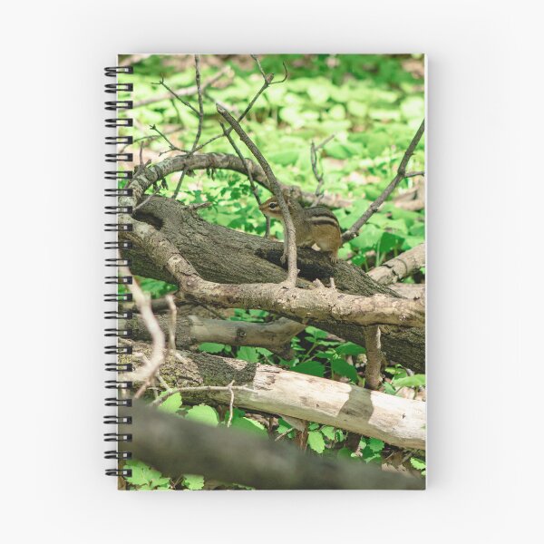 Item preview, Forest chipmunk  designed and sold by KreativeKas.