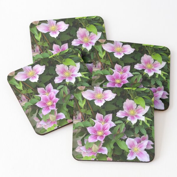 Item preview, Clematis Glory designed and sold by Susie Q.