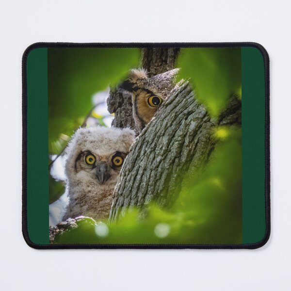 Item preview, We See You (Mama Great-horned Owl and Owlet) designed and sold by Shannon Emmel .