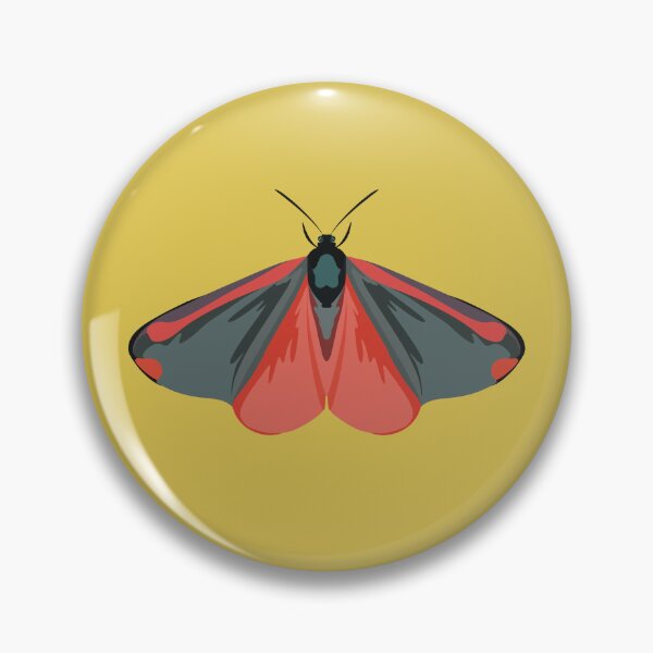 Item preview, C is for Cinnabar Moth,Cinnabar Moth Collection | Insect Art & Nature Designs designed and sold by PrettylittlepastelUk.