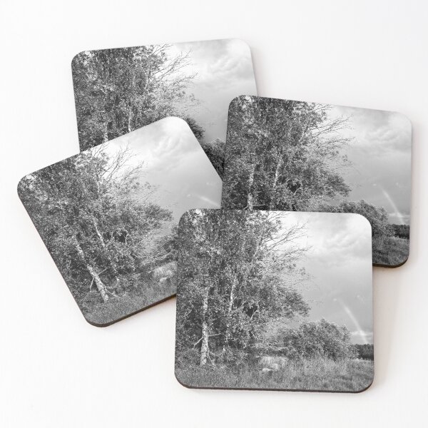 Item preview, And the sun came after the rain bw  designed and sold by Jouko Lehto Photography.