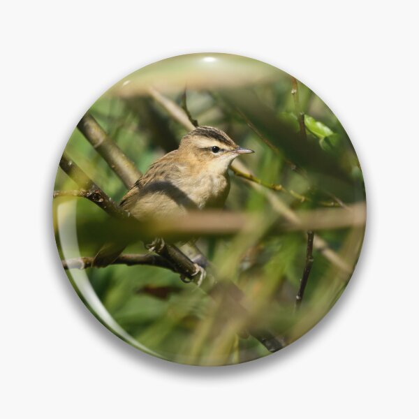 Item preview, Hiding in the bushes. Sedge Warbler designed and sold by Jouko Lehto Photography.