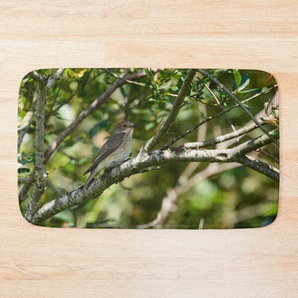 Item preview, Spotted Flycatcher in the shadow designed and sold by Jouko Lehto Photography.
