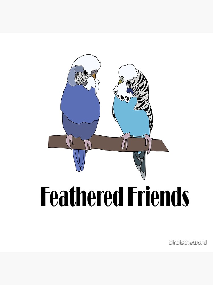 Feathered Friends Poster By Birbistheword Redbubble