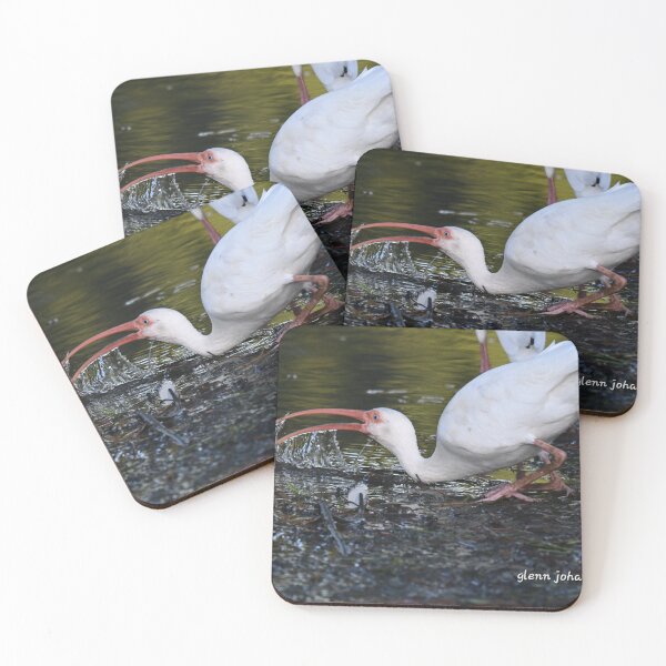 Item preview, Ibis getting a drink  designed and sold by Glennphotos.