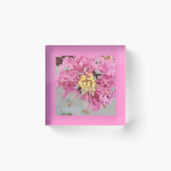 Item preview, Pink flower designed and sold by MaxCardoso.